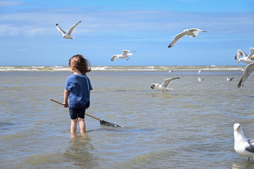 Vissen in de zee