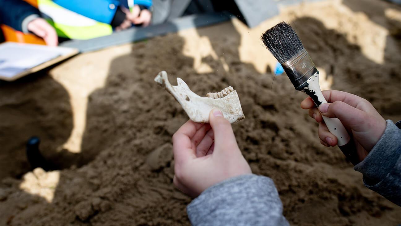 Dit is wat archeologen verstaan onder ’tanden poetsen’.