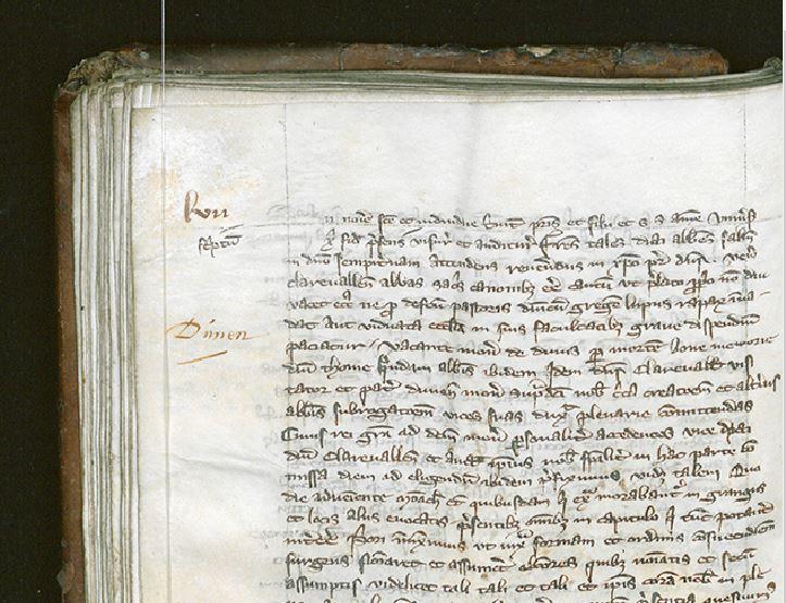 Codex Dunensis (C) OB Brugge, Ms 418