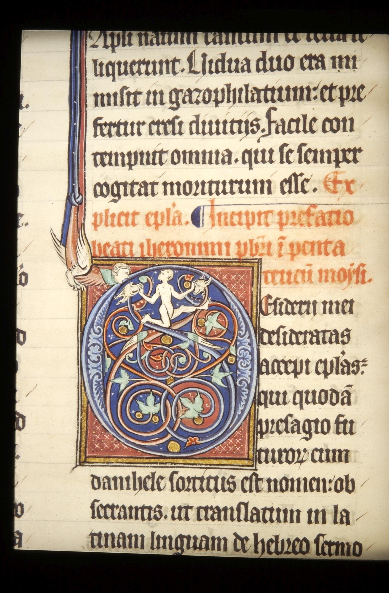 Detail Duinenhandschrift 