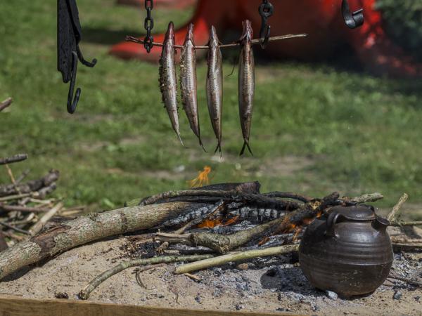 (c) Lambert J. Derenette - re-enactment op Feest in de Abdij 2016 