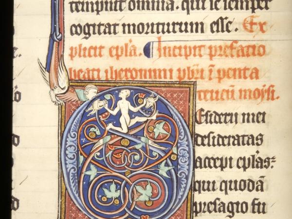 Detail Duinenhandschrift 